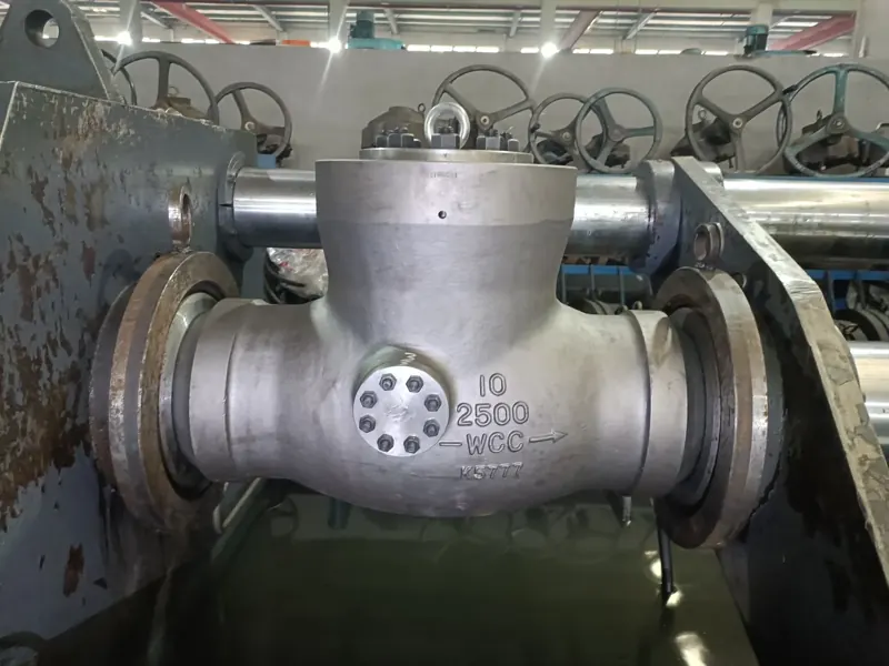 Class 2500 WCC check valve in a hydrostatic test rig